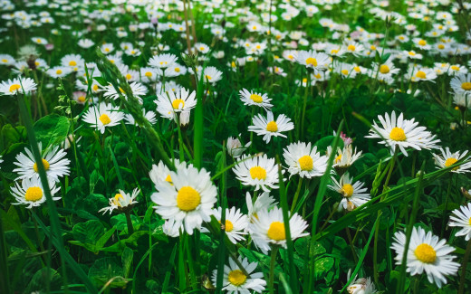 1576422 (a): :2560x1600